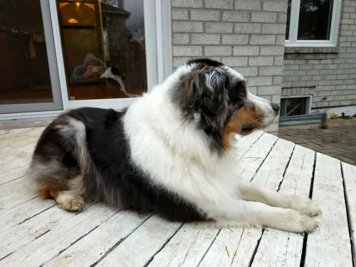 img 20161119 231550 hdr