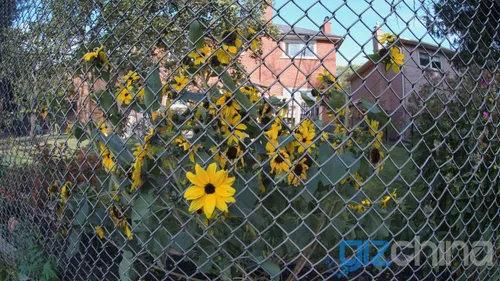 img 20170101 001640 0020