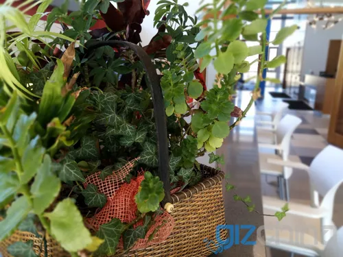 img 20170322 120732 stereo