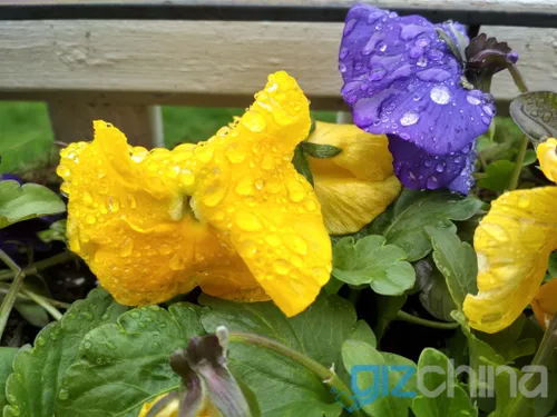 img 20170506 083206 hdr