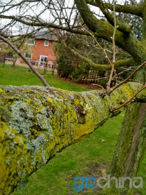 img 20170506 112029 hdr