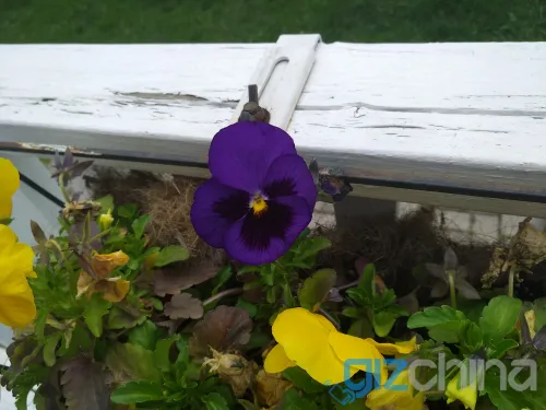 img 20170609 183204 1