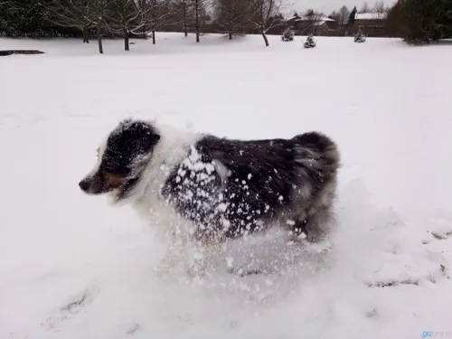 img 20171222 145508 marked