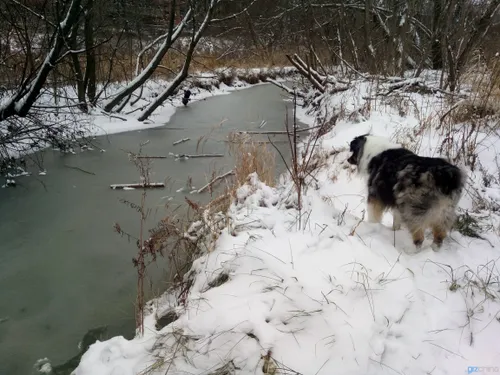 img 20171222 150504 marked