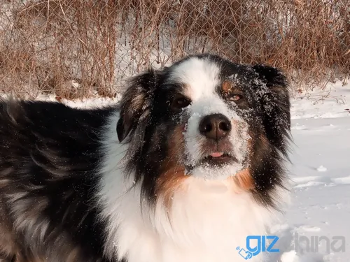 img 20171228 151440 1