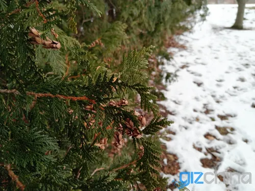 img 20180215 165137r