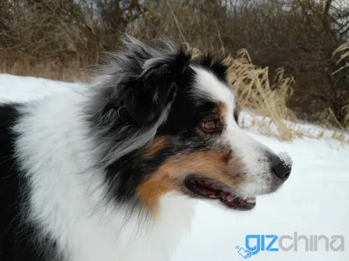 img 20180215 171215r