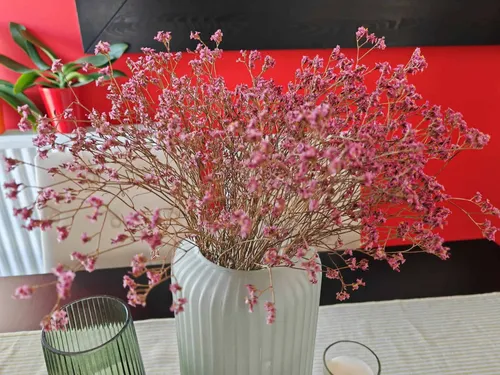 img 20230306 121245 1