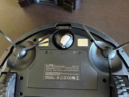 img 3653 rotated e1678982432825