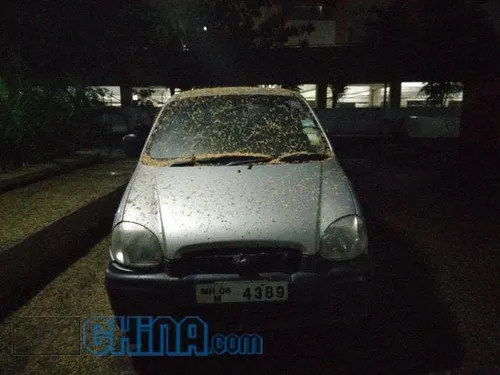 img20140718215638 result 6