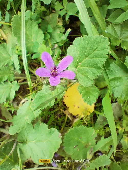 img20210404095313 011