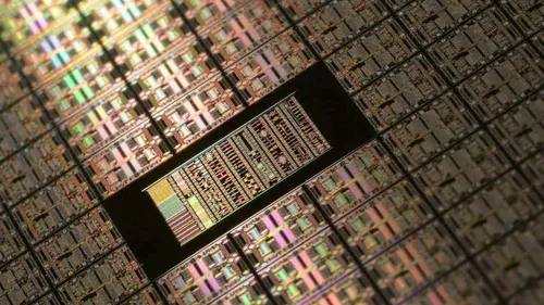 laura ockel rozwxefl27k unsplash