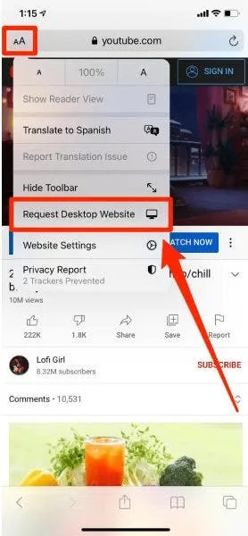 listen youtube in background on iphone 1