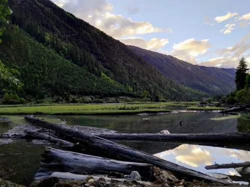 mi a2 mi forum inline