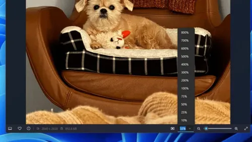 microsoft fotograflar guncelleme 3 e1719381351886