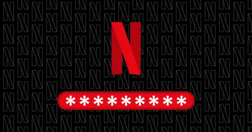 neflix password
