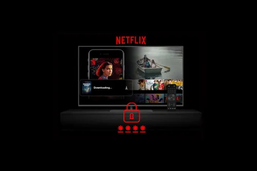 netflix password