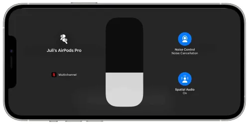 netflix spatial audio support