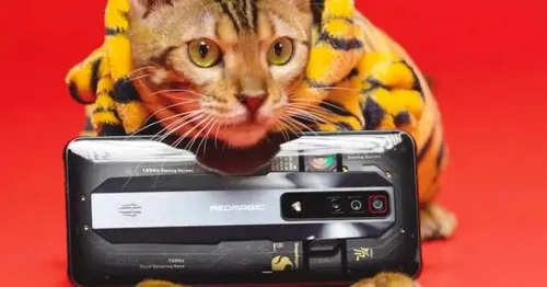 nubia redmagic 7 pro transparent rear panel