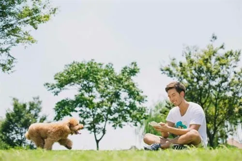 oppo n1 camera use dog 2