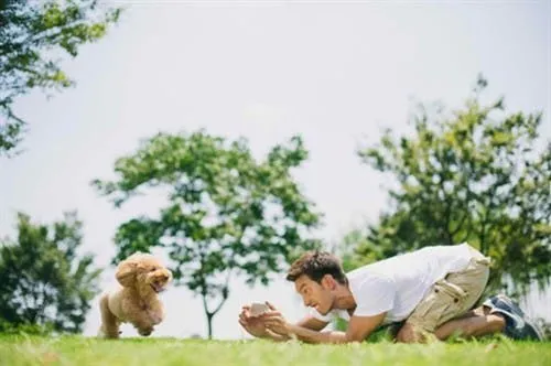 oppo n1 camera use dog