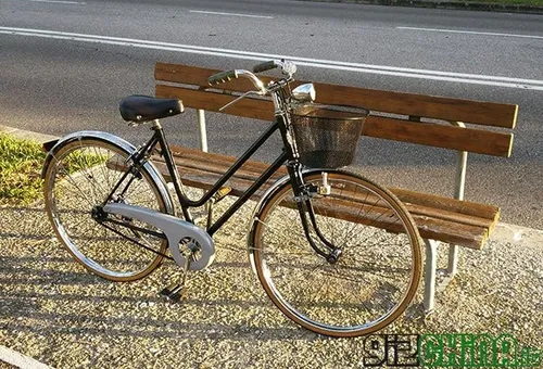 panatech vega review photo 1