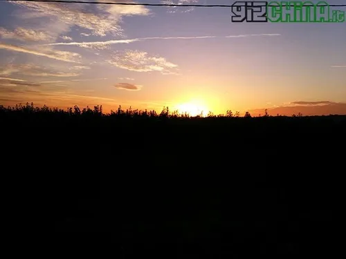 panatech vega review photo 3