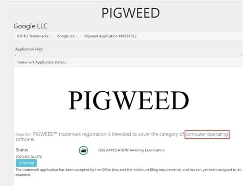 pigweed