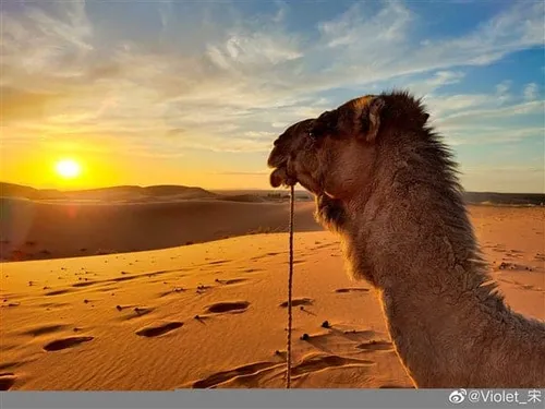 s 128271b167eb400b9bfa04e6c0d9fa23