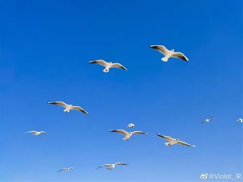 s ba561bfb4935499797293abb7b8d7488