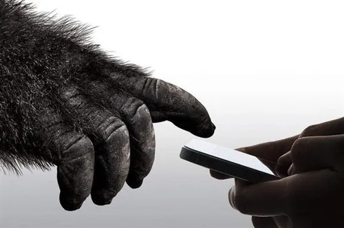 s97b5251c 5332 455d b59c b1345e5b8a4c