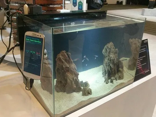samsung upcycling fish care service 800x600 1
