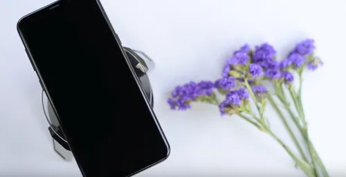 screen shot 2017 08 22 at 214325