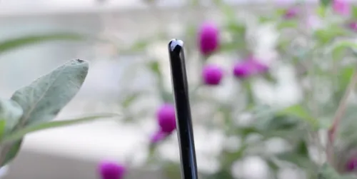 screen shot 2017 08 22 at 214340