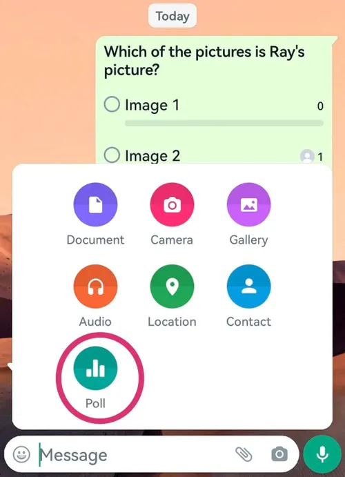 screenshot 20221120 155027