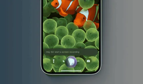 screenshot 2023 05 10 135718