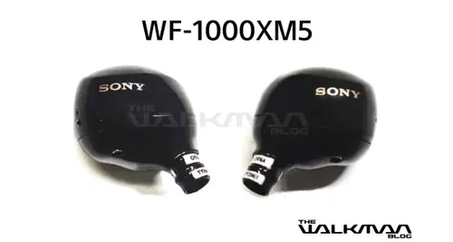 sony wf 1000xm5