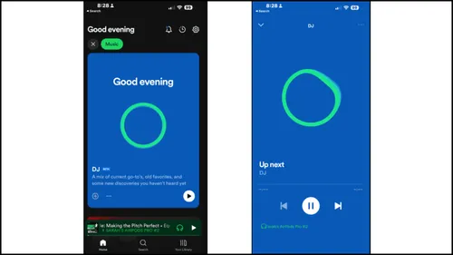 spotify premium features