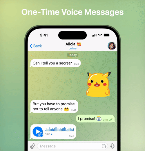 telegram one time voice and video messages