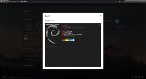 terminal on casaos local