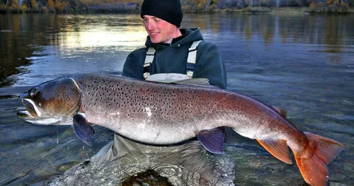 th d6aed5d0852a13acdf1ccdb9fc7eac28 13560031432012 12 week7 denny schaller