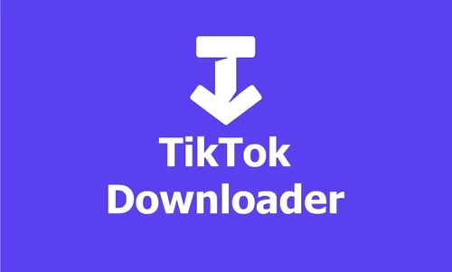 tiktok video downloader