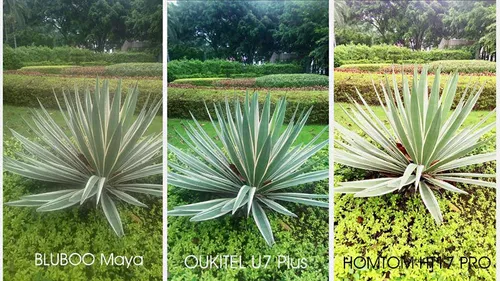 u7 plus camera vs bluboo maya vs homtom ht17 pro