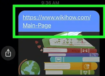 use safari bypass screen time