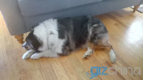 vernee mars review 16