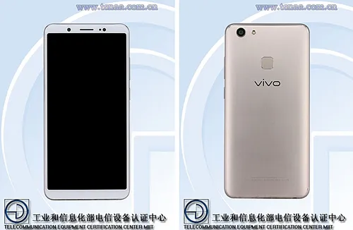 vivo