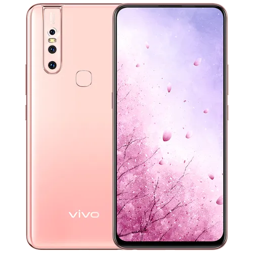 vivo s1 pet powder