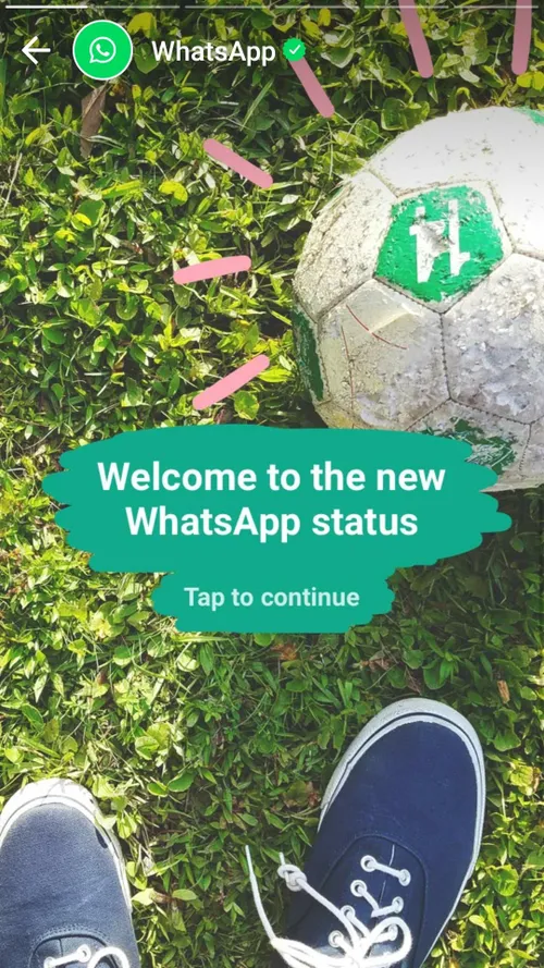 whatsapp status 1