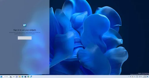 windows 11 kb5026446