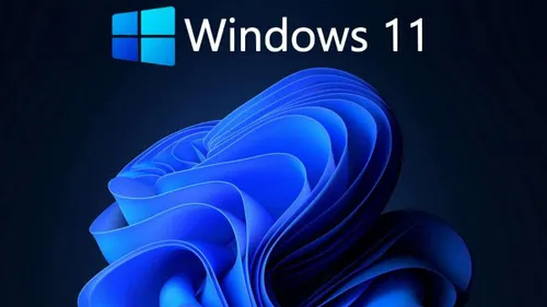 windows1120